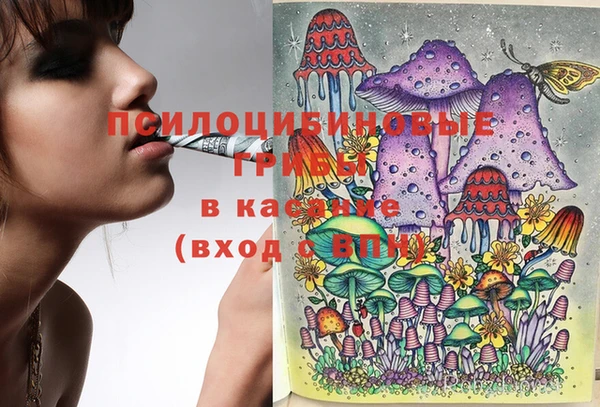 бошки Алзамай