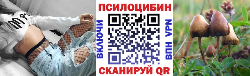 Псилоцибиновые грибы GOLDEN TEACHER  blacksprut рабочий сайт  Ардатов 